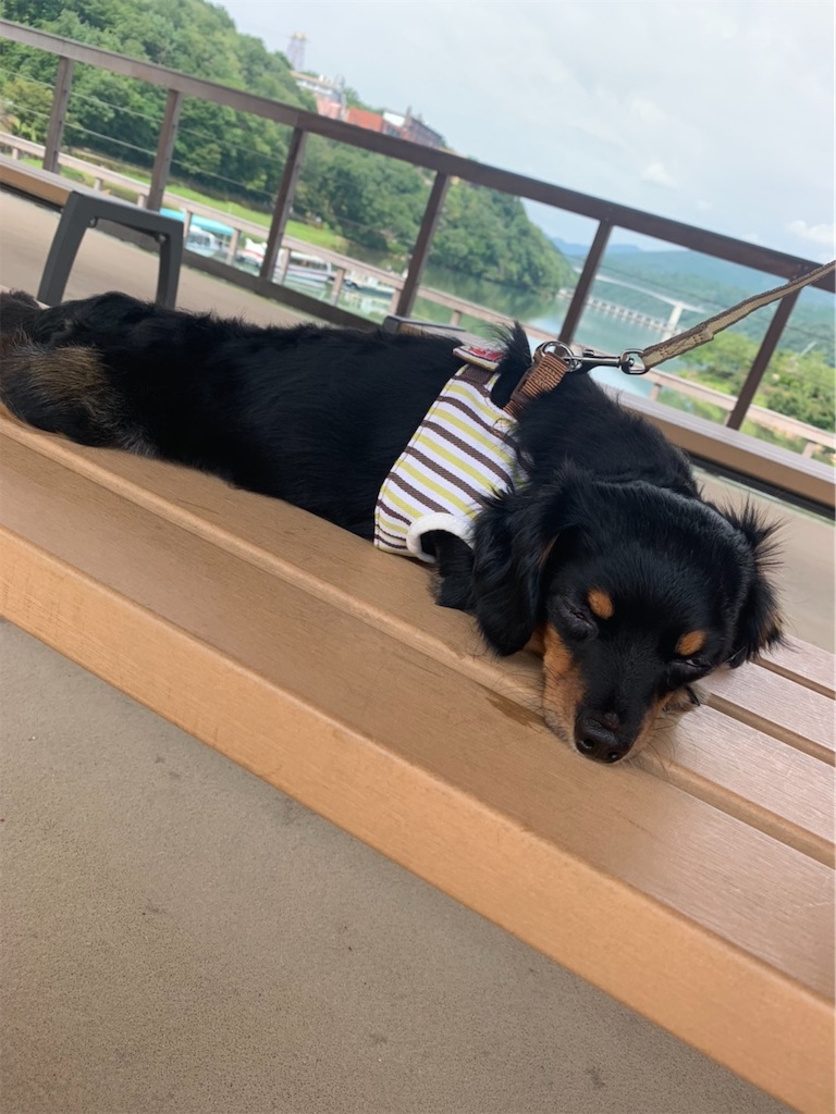 f:id:goukakuigakubu:20210712172231j:image