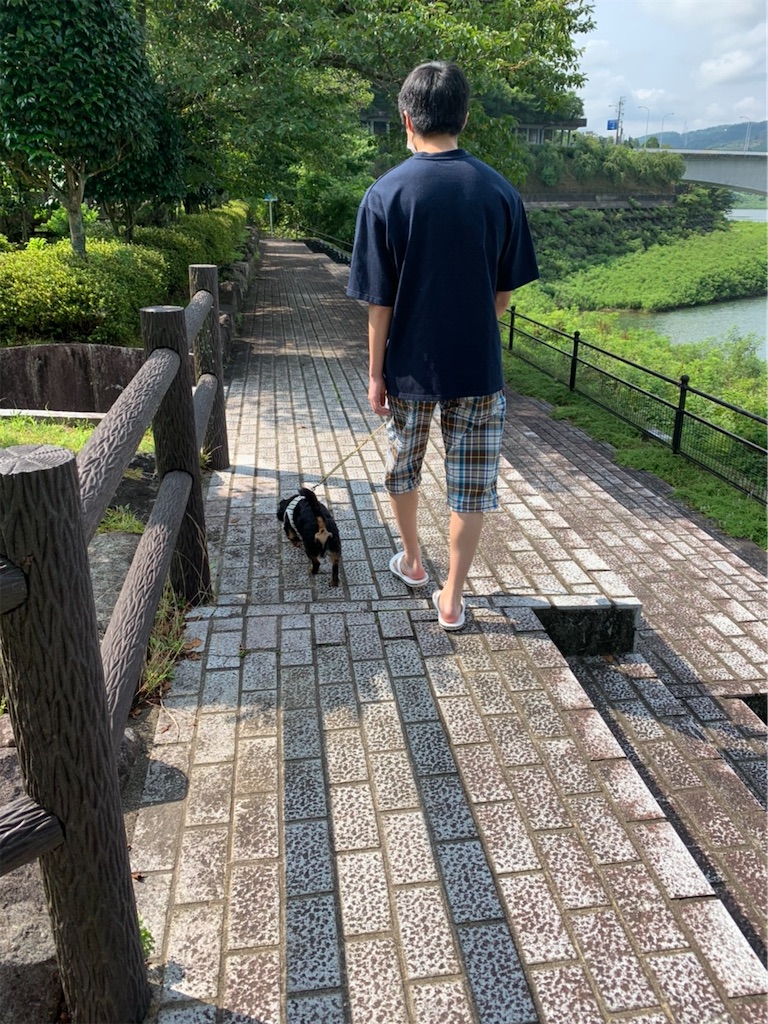 f:id:goukakuigakubu:20210714150138j:image