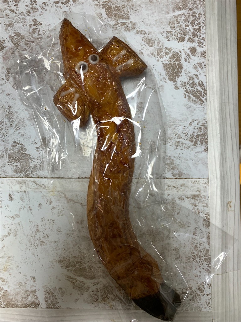 f:id:goukakuigakubu:20210716144019j:image