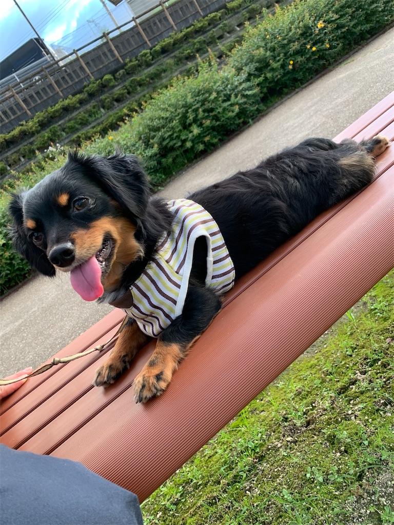 f:id:goukakuigakubu:20210718095340j:image