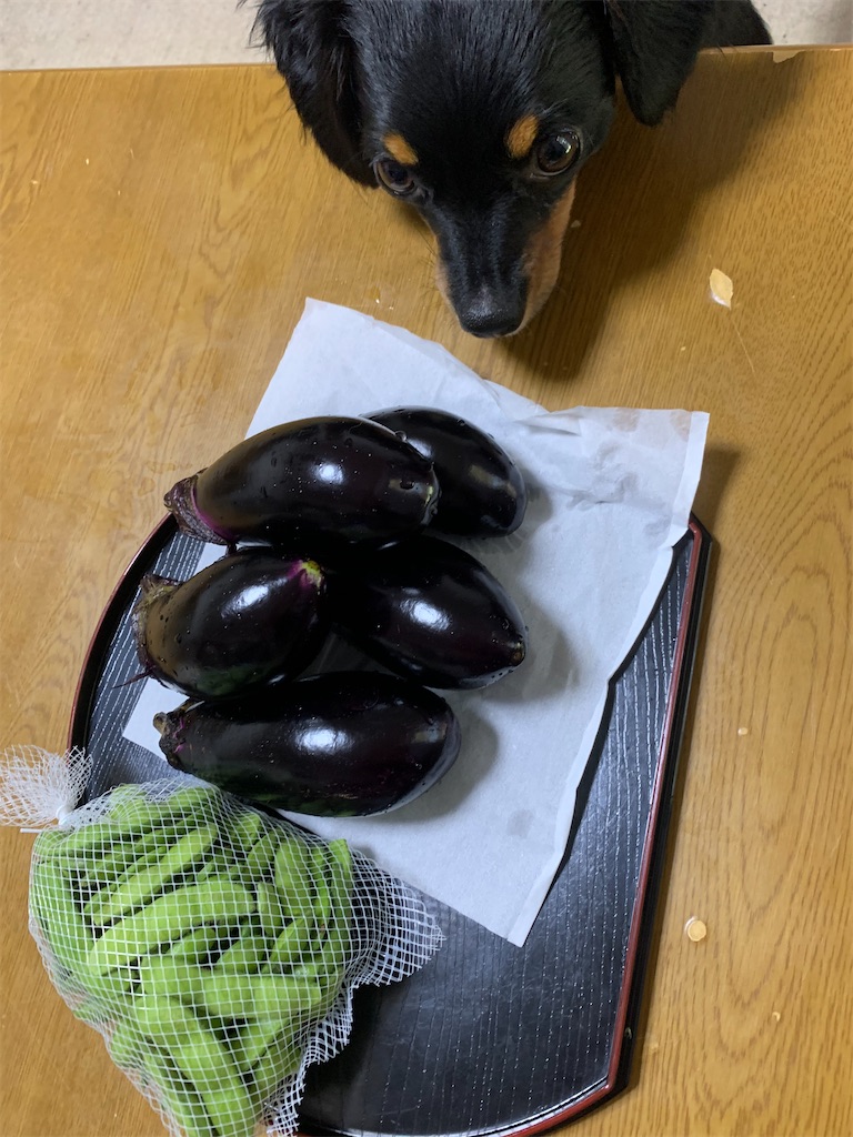 f:id:goukakuigakubu:20210720115110j:image