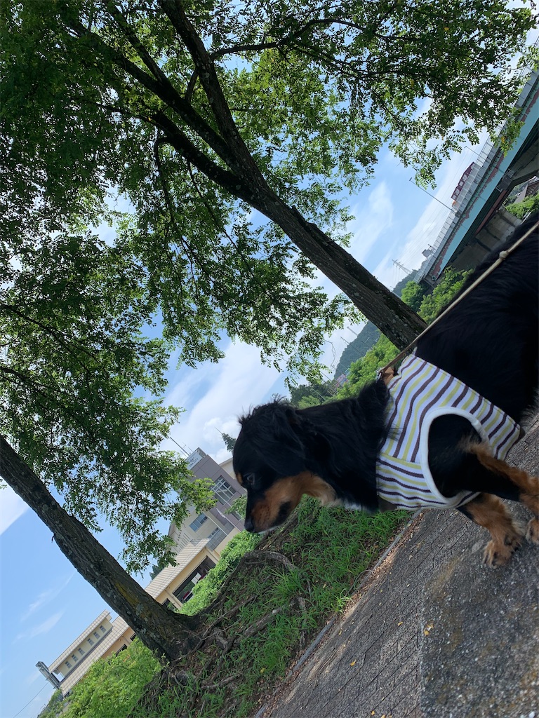 f:id:goukakuigakubu:20210722093132j:image