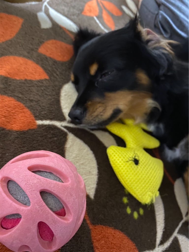 f:id:goukakuigakubu:20210723103644j:image