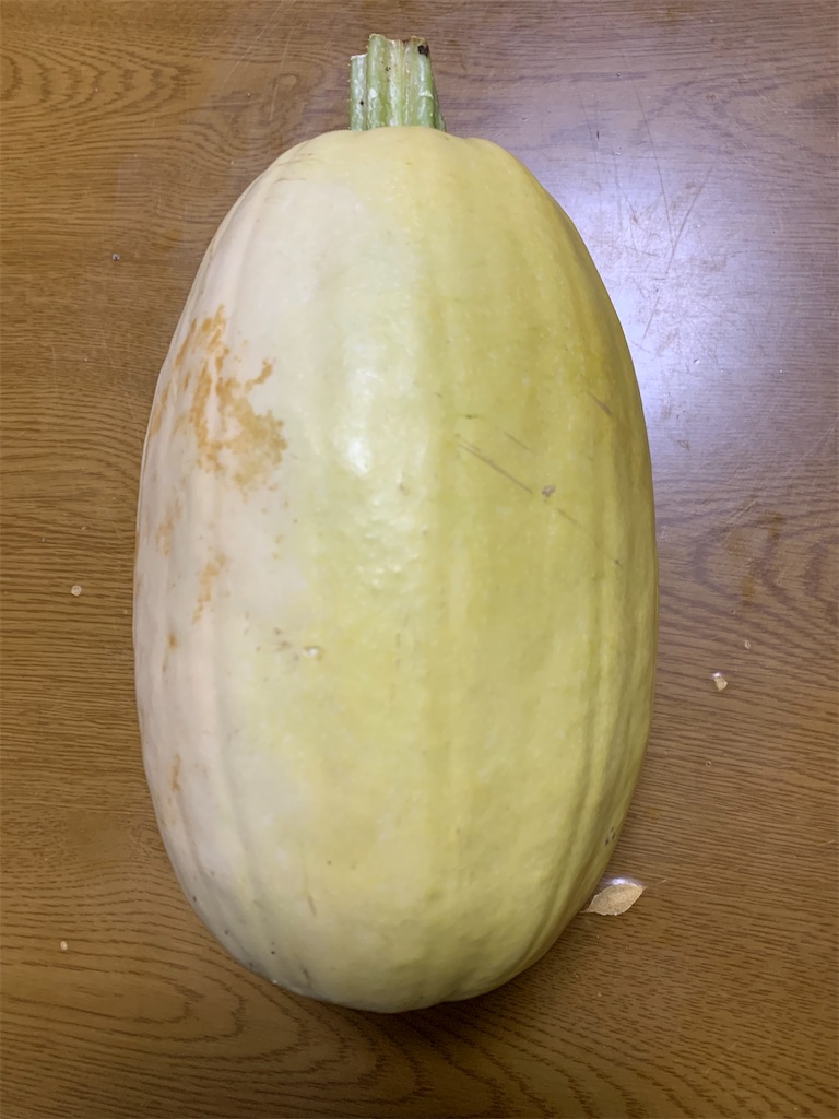 f:id:goukakuigakubu:20210724101848j:image