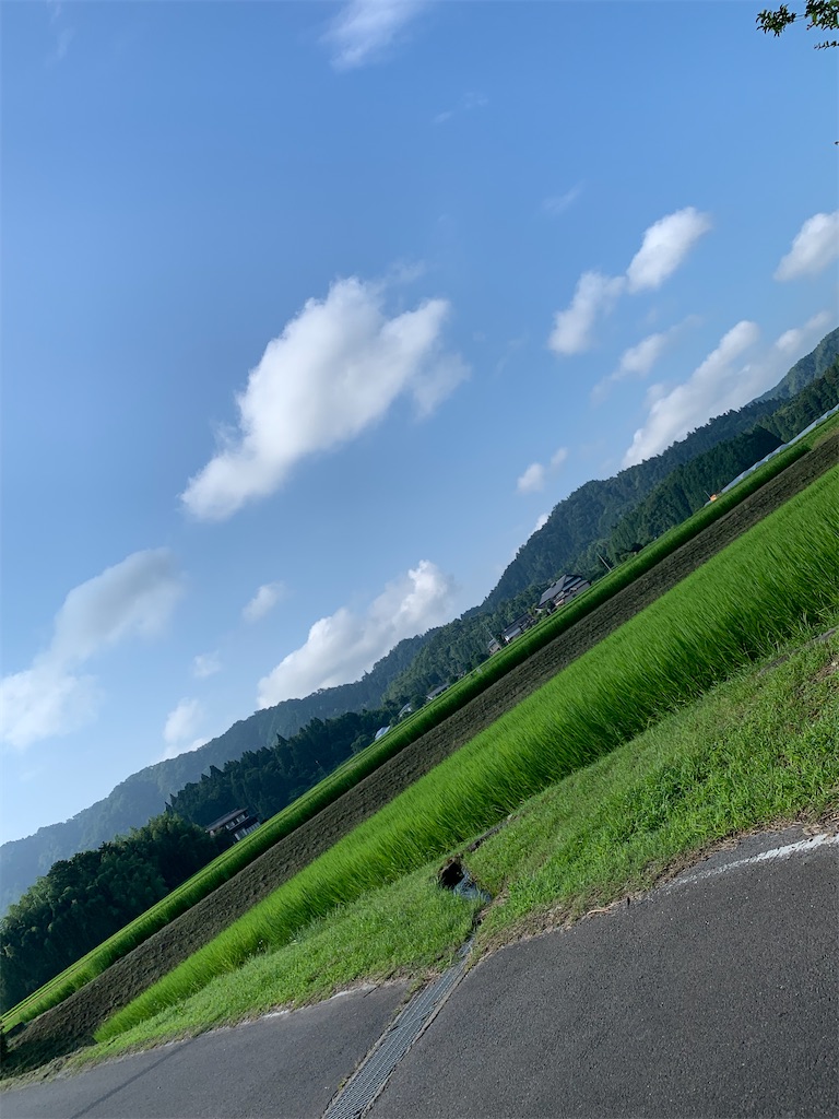 f:id:goukakuigakubu:20210730144846j:image