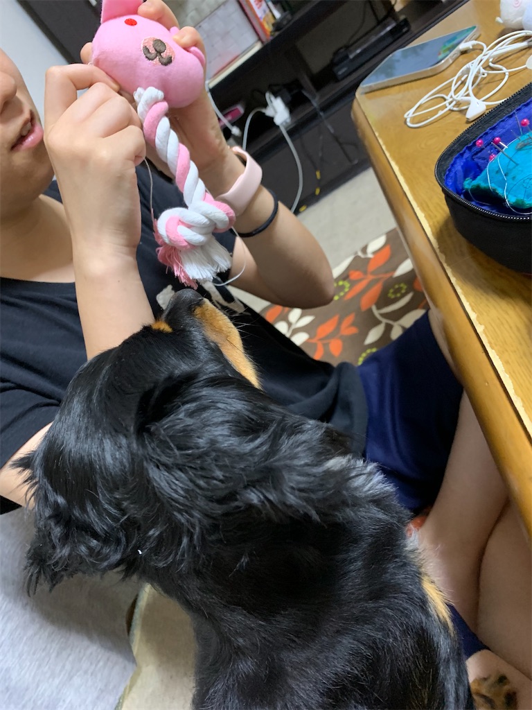 f:id:goukakuigakubu:20210730145311j:image