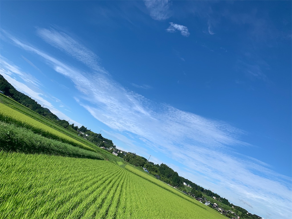 f:id:goukakuigakubu:20210807094001j:image