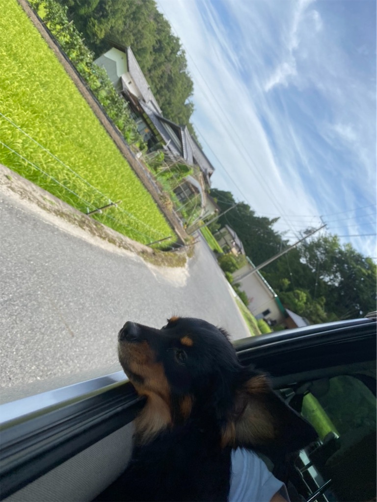 f:id:goukakuigakubu:20210820140025j:image f:id:goukakuigakubu:20210820140025j:image