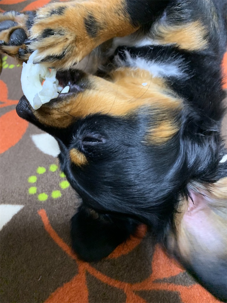 f:id:goukakuigakubu:20210828113838j:image