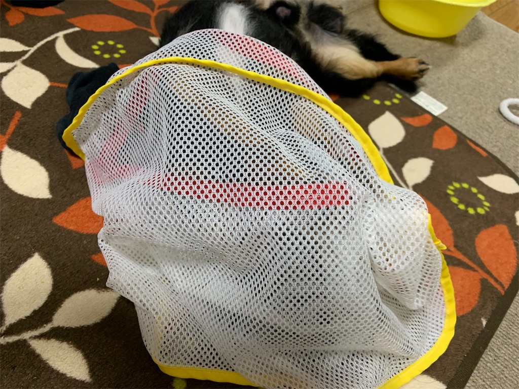 f:id:goukakuigakubu:20210829075103j:image f:id:goukakuigakubu:20210829075103j:image