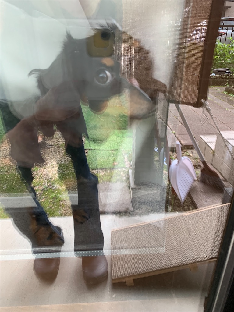 f:id:goukakuigakubu:20210908111543j:image