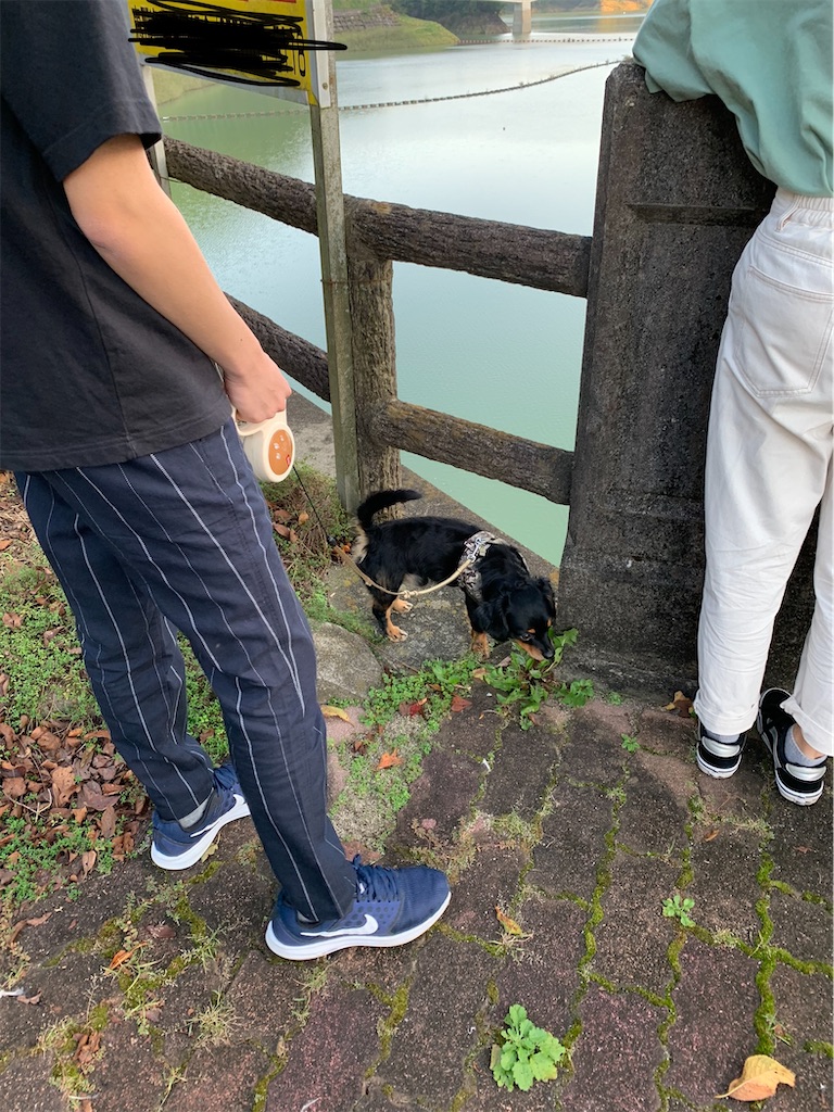 f:id:goukakuigakubu:20211003130023j:image f:id:goukakuigakubu:20211003130023j:image