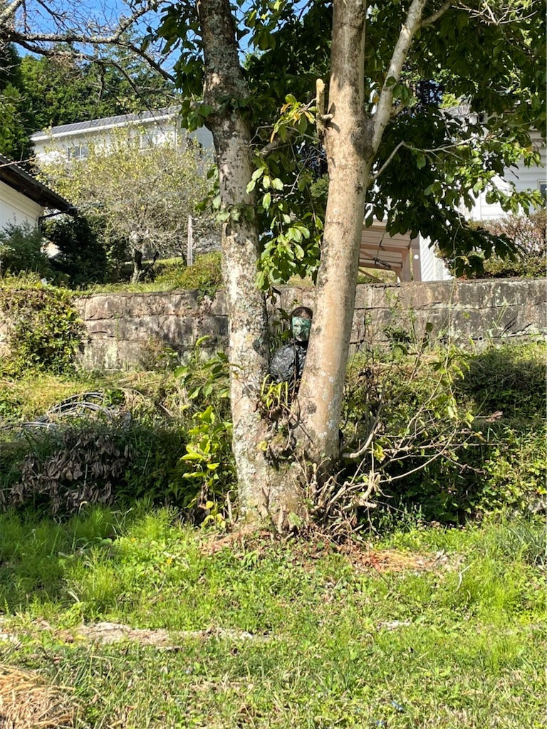 f:id:goukakuigakubu:20211005091053j:image f:id:goukakuigakubu:20211005091053j:image