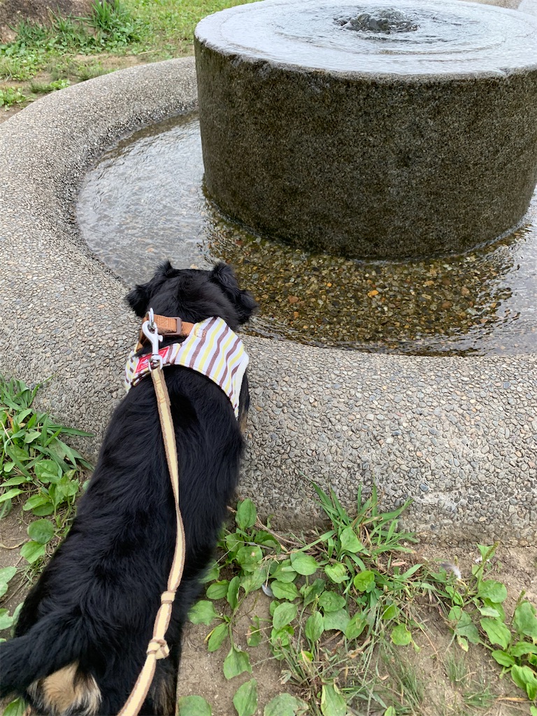f:id:goukakuigakubu:20211007121717j:image