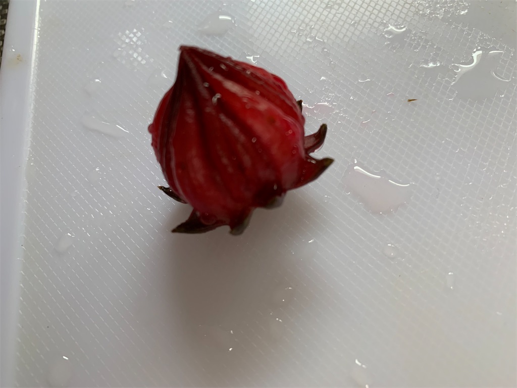f:id:goukakuigakubu:20211009184801j:image