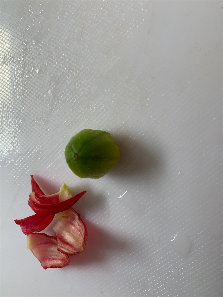 f:id:goukakuigakubu:20211009184804j:image
