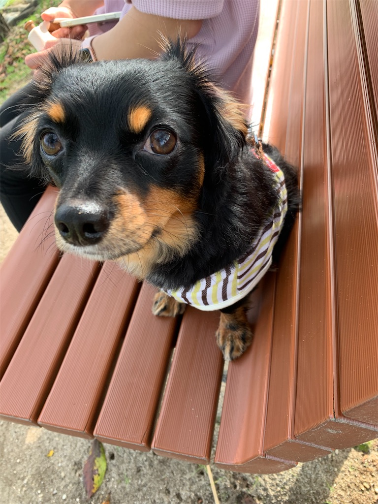 f:id:goukakuigakubu:20211013151505j:image f:id:goukakuigakubu:20211013151505j:image