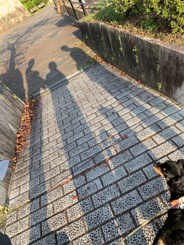 f:id:goukakuigakubu:20211016192451j:image
