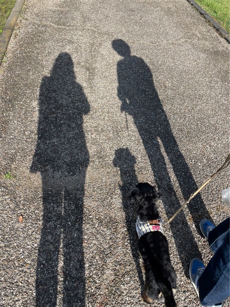 f:id:goukakuigakubu:20211016192454j:image