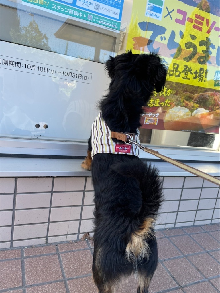 f:id:goukakuigakubu:20211023212124j:image