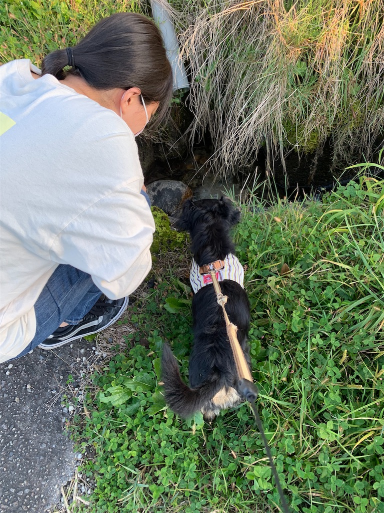 f:id:goukakuigakubu:20211026225516j:image f:id:goukakuigakubu:20211026225516j:image