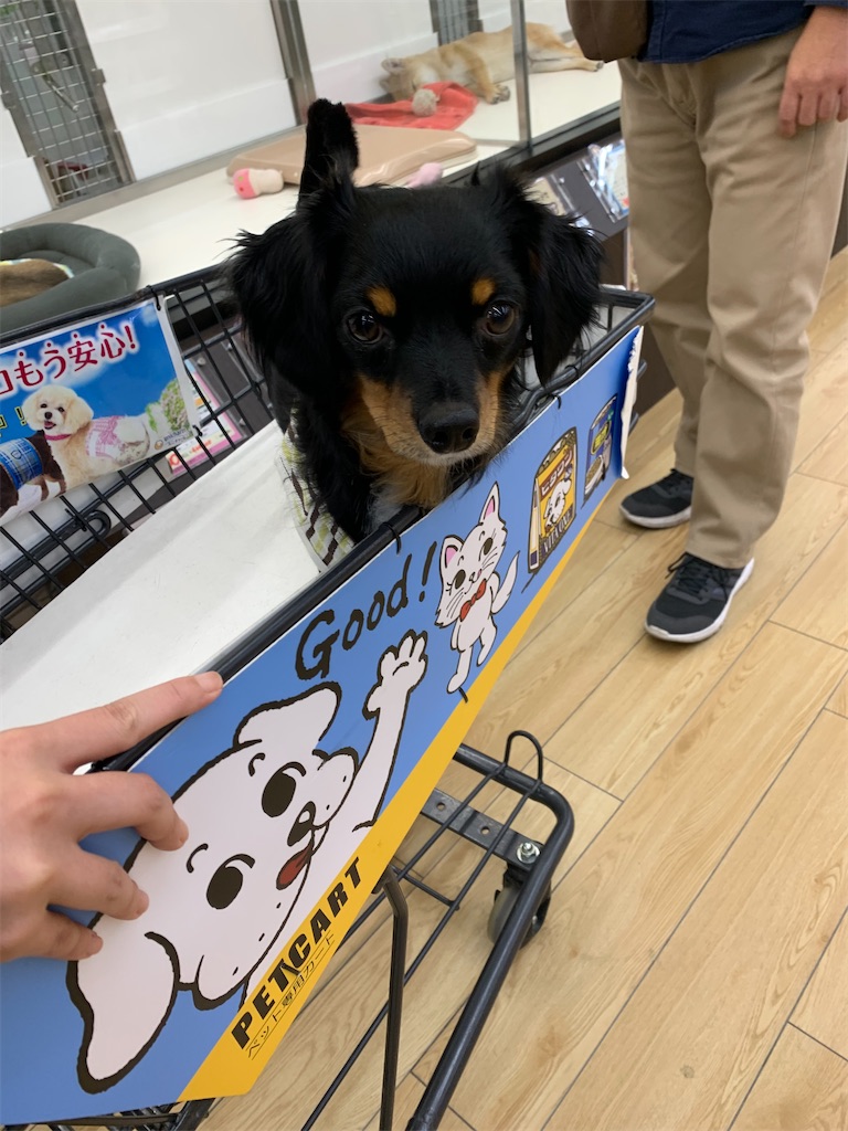 f:id:goukakuigakubu:20211029180210j:image