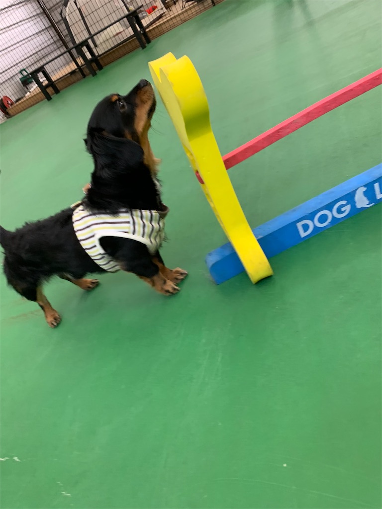 f:id:goukakuigakubu:20211223231653j:image