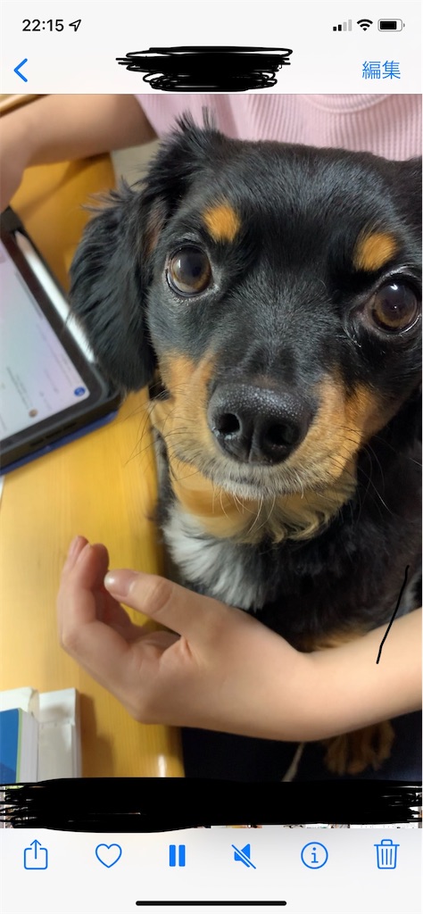 f:id:goukakuigakubu:20211230222048j:image