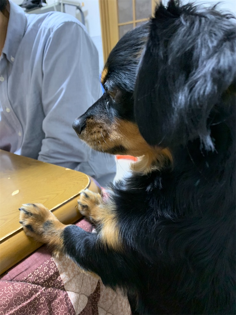 f:id:goukakuigakubu:20220104220836j:image f:id:goukakuigakubu:20220104220836j:image