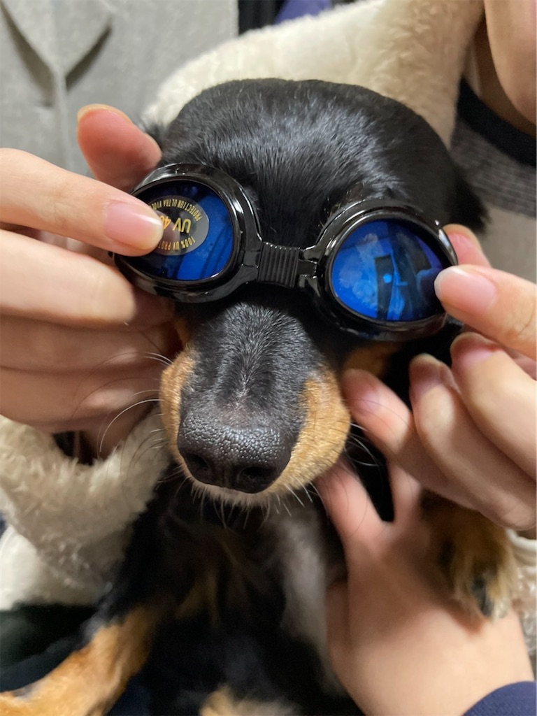 f:id:goukakuigakubu:20220106224236j:image