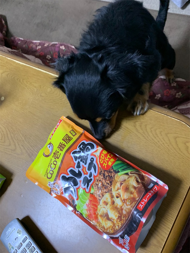 f:id:goukakuigakubu:20220108231758j:image f:id:goukakuigakubu:20220108231758j:image