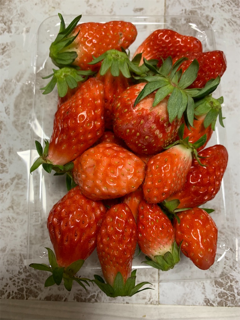 f:id:goukakuigakubu:20220113225404j:image