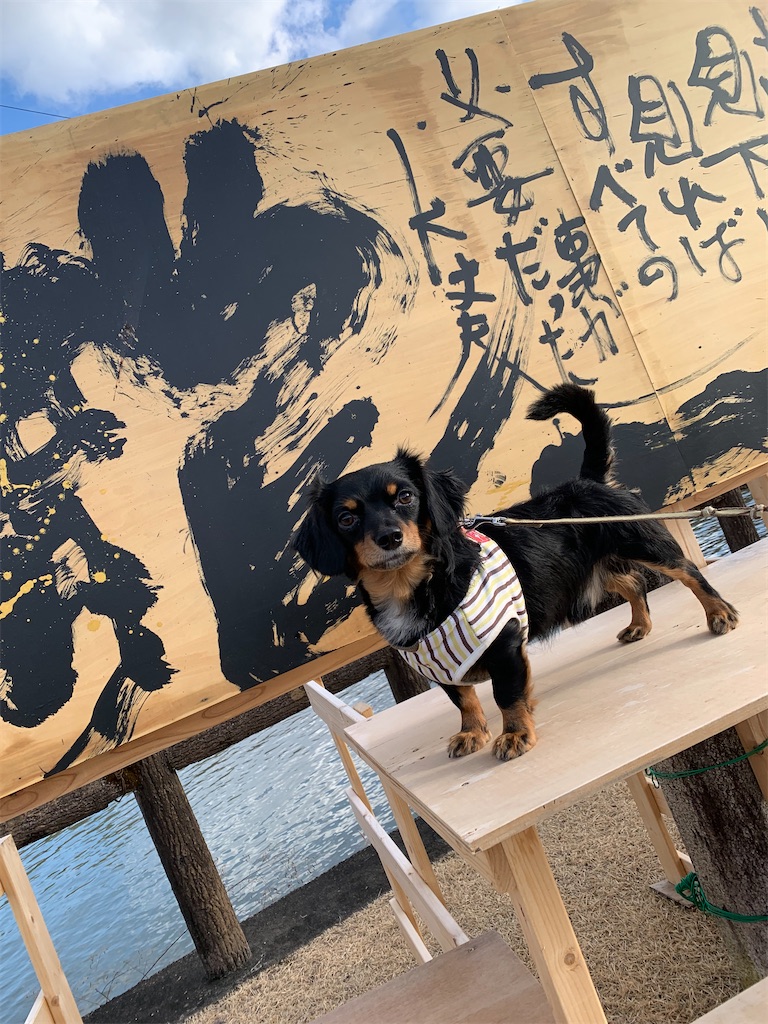 f:id:goukakuigakubu:20220129213950j:image