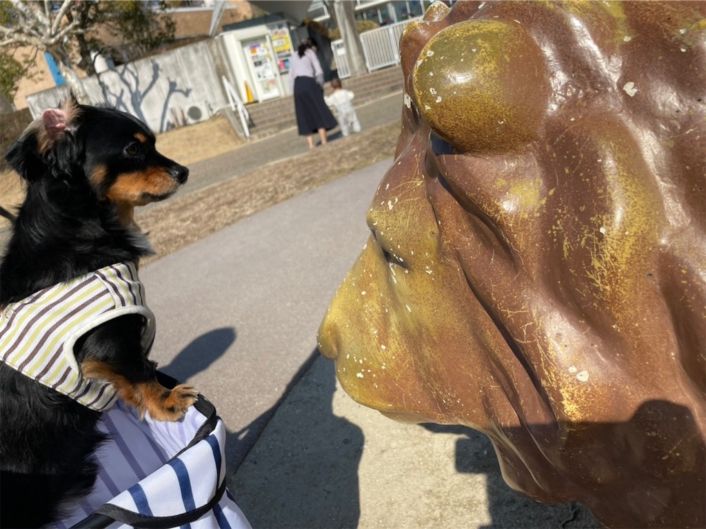 f:id:goukakuigakubu:20220228231834j:image