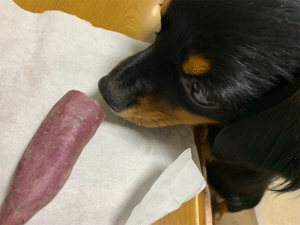 f:id:goukakuigakubu:20220301182237j:image
