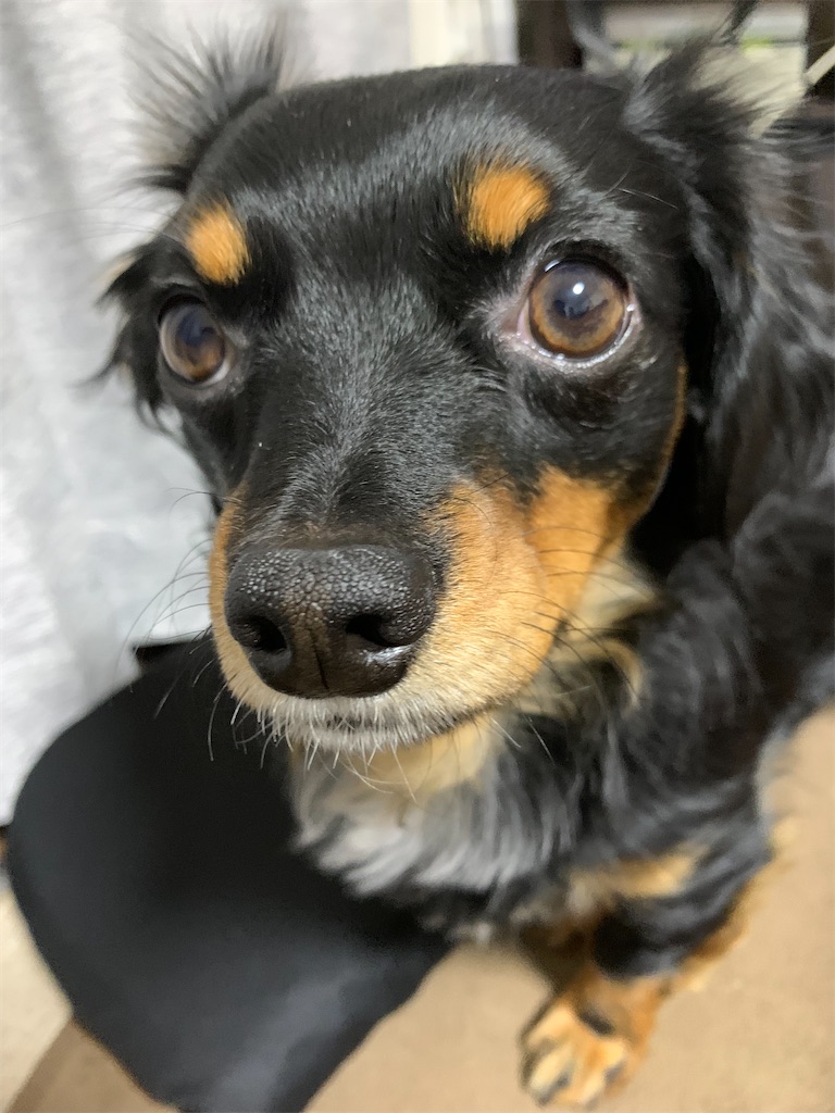 f:id:goukakuigakubu:20220302212458j:image