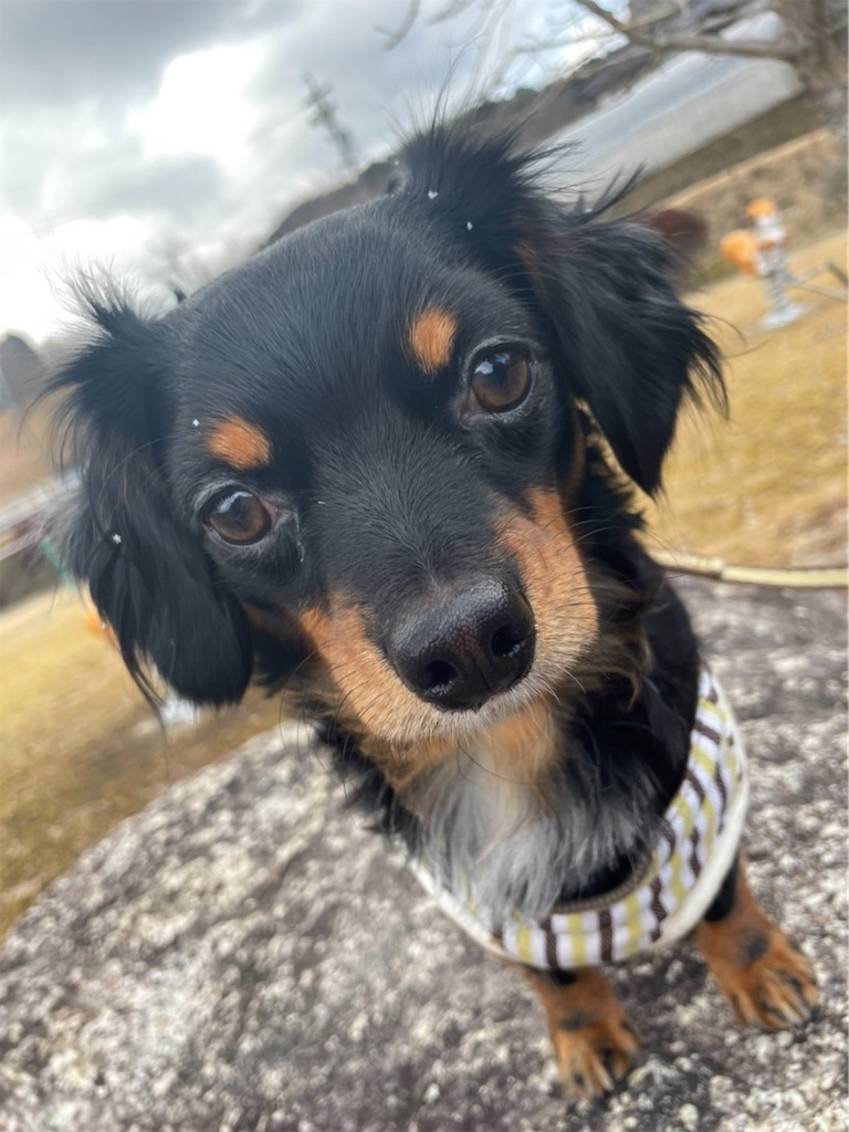f:id:goukakuigakubu:20220306170128j:image