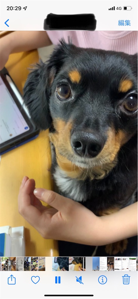 f:id:goukakuigakubu:20220312203628j:image