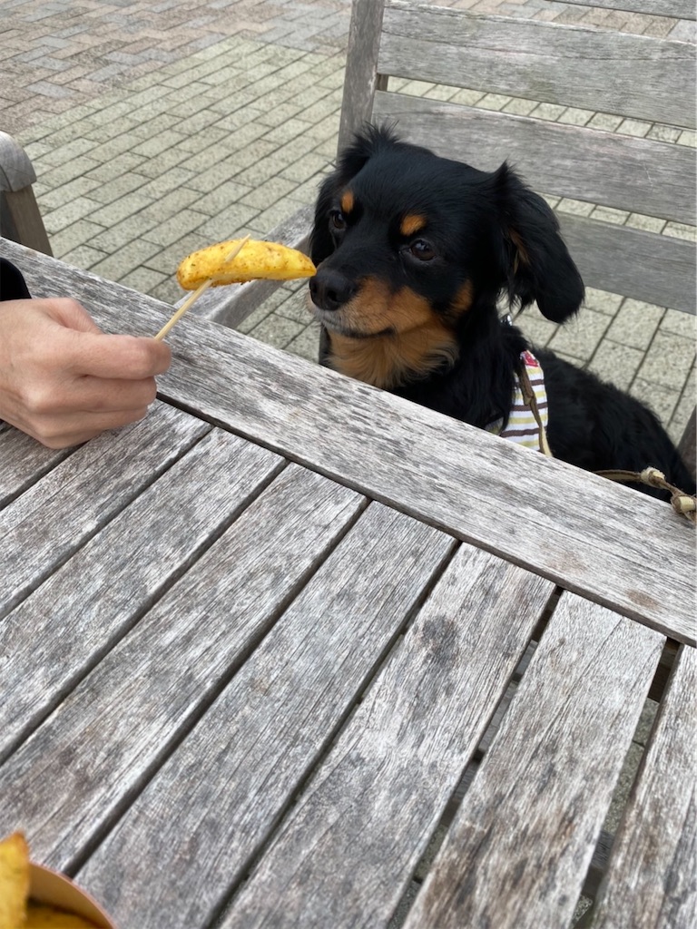 f:id:goukakuigakubu:20220318165155j:image