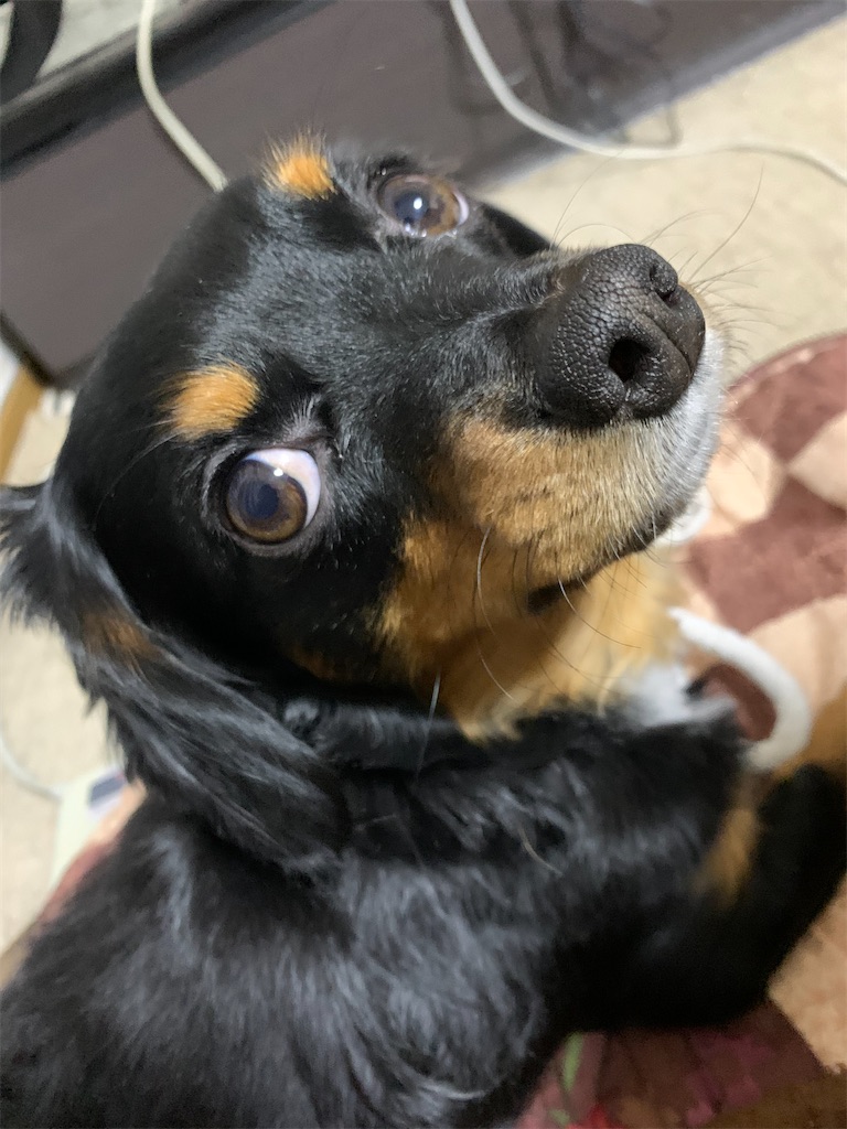 f:id:goukakuigakubu:20220323204053j:image
