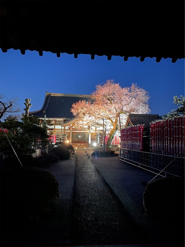 f:id:goukakuigakubu:20220324205118j:image f:id:goukakuigakubu:20220324205118j:image