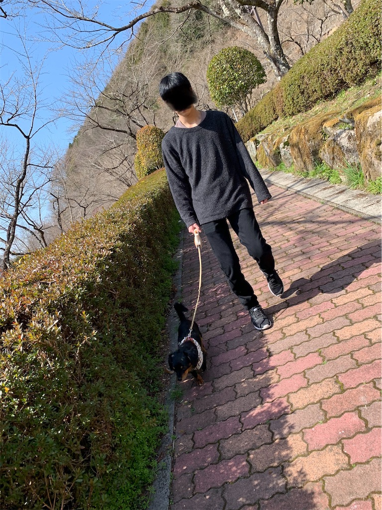 f:id:goukakuigakubu:20220324205618j:image f:id:goukakuigakubu:20220324205618j:image