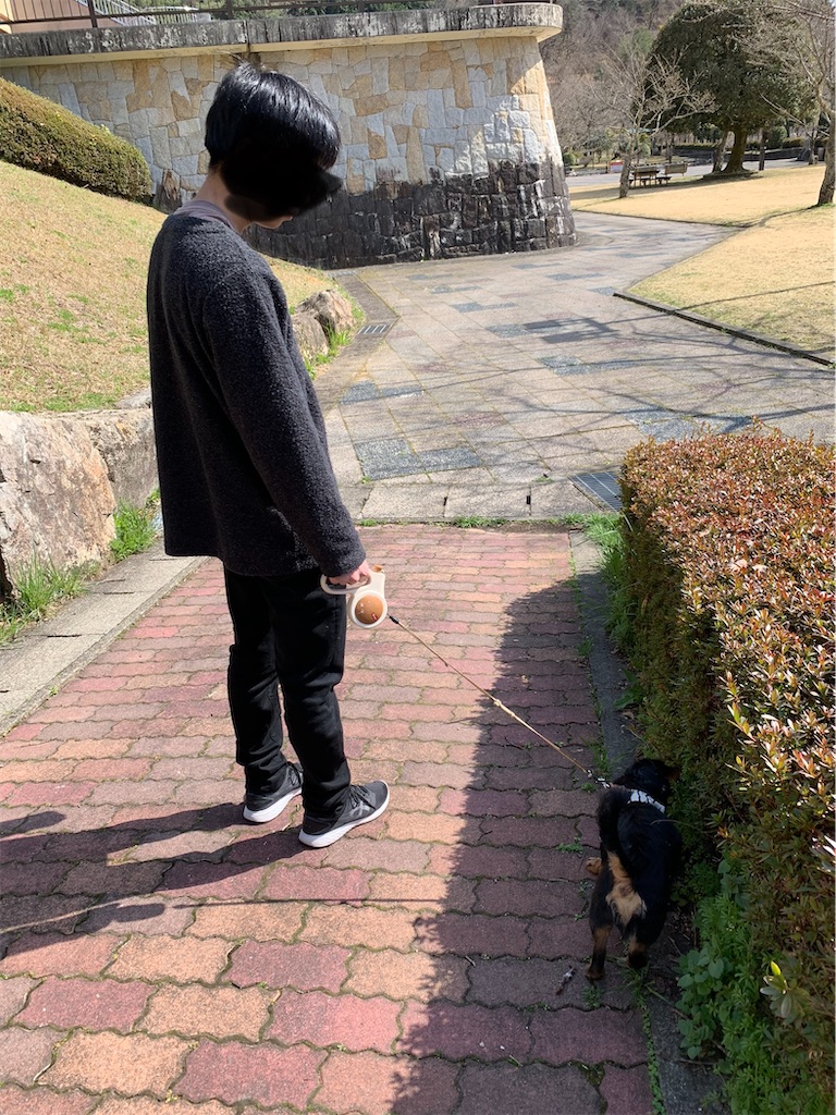 f:id:goukakuigakubu:20220324205621j:image f:id:goukakuigakubu:20220324205621j:image
