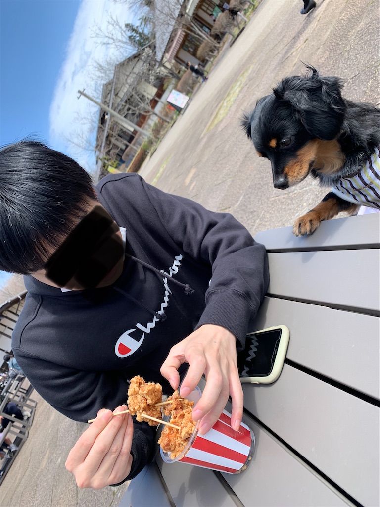 f:id:goukakuigakubu:20220328202053j:image