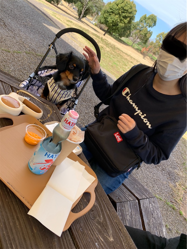 f:id:goukakuigakubu:20220328202122j:image