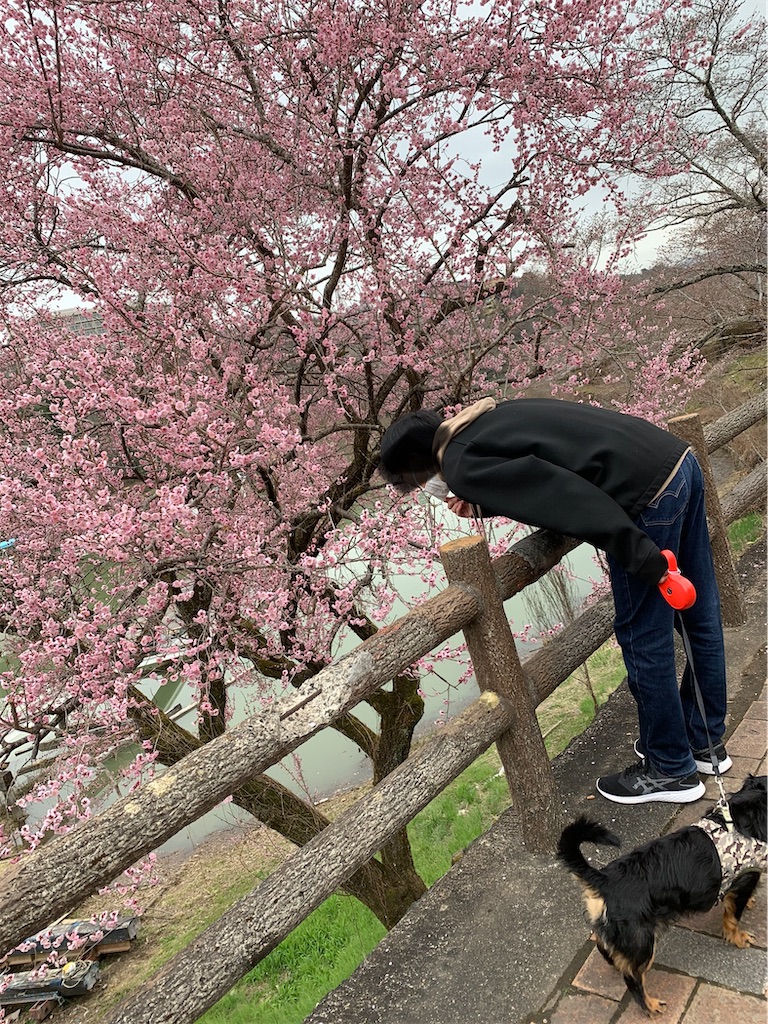 f:id:goukakuigakubu:20220401103224j:image f:id:goukakuigakubu:20220401103224j:image