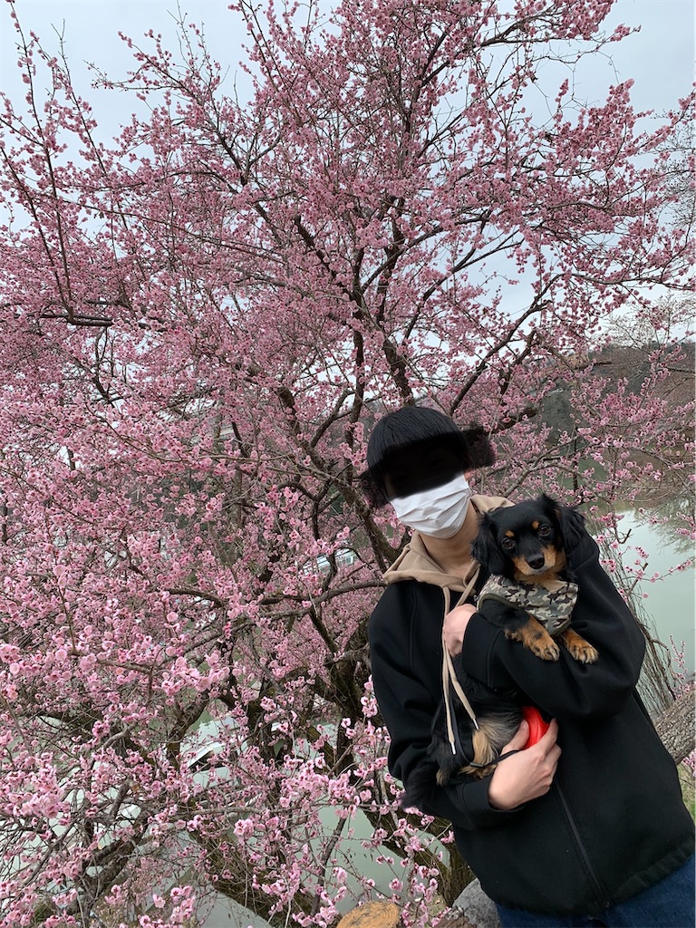 f:id:goukakuigakubu:20220401103227j:image f:id:goukakuigakubu:20220401103227j:image