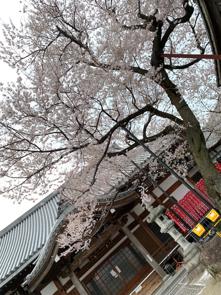 f:id:goukakuigakubu:20220401104518j:image f:id:goukakuigakubu:20220401104518j:image