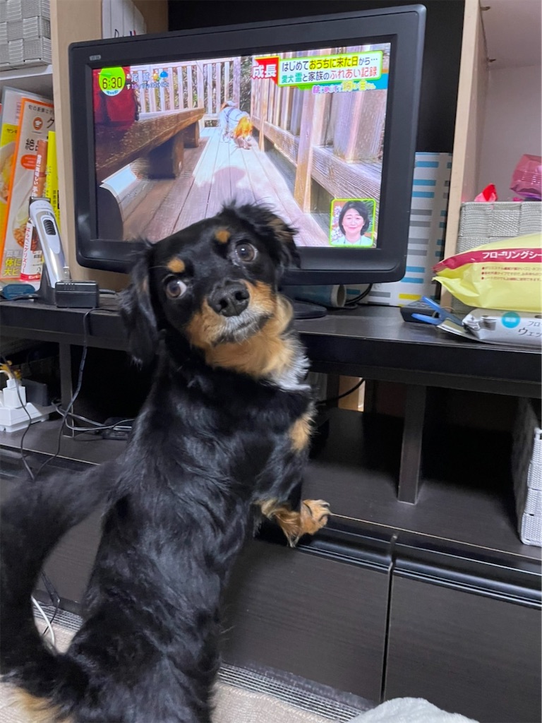 f:id:goukakuigakubu:20220406071259j:image