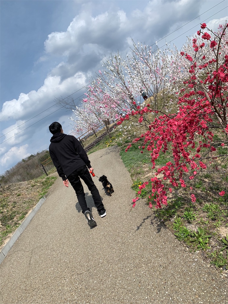 f:id:goukakuigakubu:20220408102011j:image